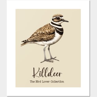 Killdeer - The Bird Lover Collection Posters and Art